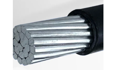 未 命名 图片-2023-05-19T161202.584