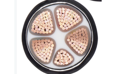 未 命名 图片-2023-05-19T152744.934