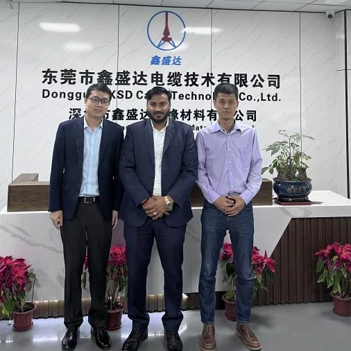 Binisita ng customer ng India ang XSD - Paggalugad ng Mga Oportunidad sa Pakikipagtulungan ng Pag -iimbak ng Enerhiya