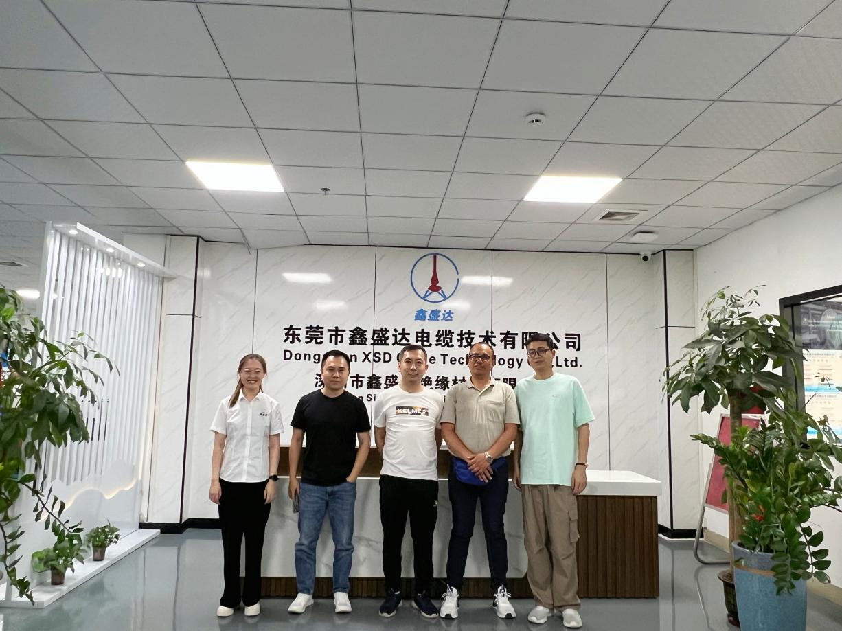 XSD Cable: Nagpapakita ng pambihirang mga kakayahan sa pagproseso ng wire at cable