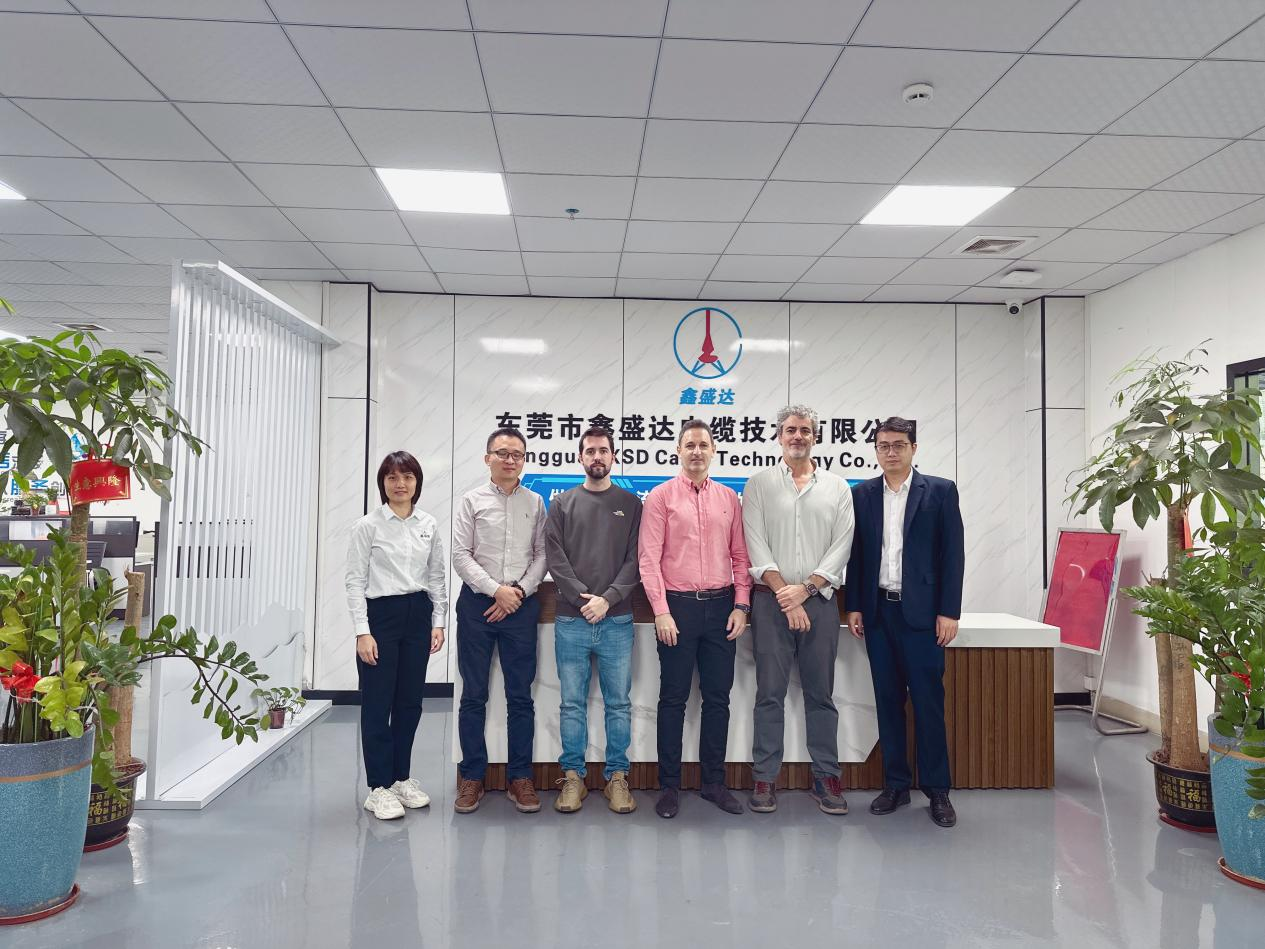 Ang kliyente ng Espanya ay bumibisita sa XSD cable para sa konsultasyon ng pre-mass production