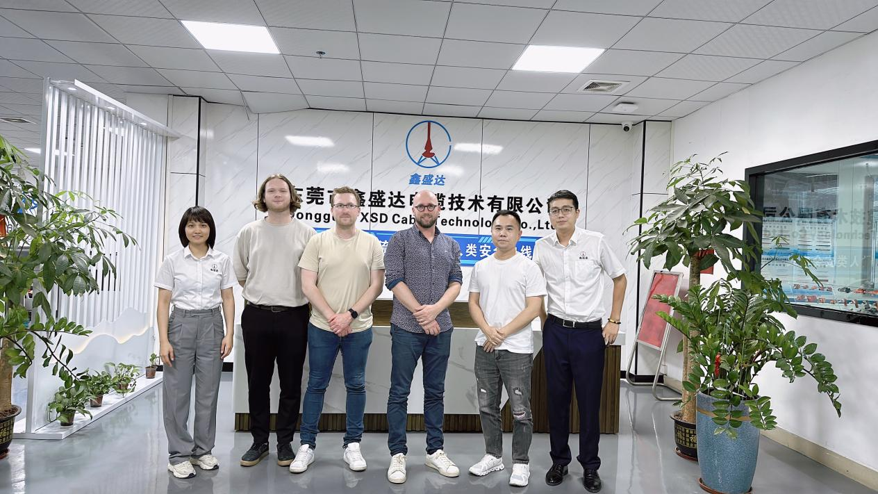 Malugod na tinatanggap ang aming iginagalang na kliyente ng Pransya sa XSD cable