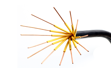 Ano ang isang multi-core cable? Ano ang paggamit ng multi-core cable?