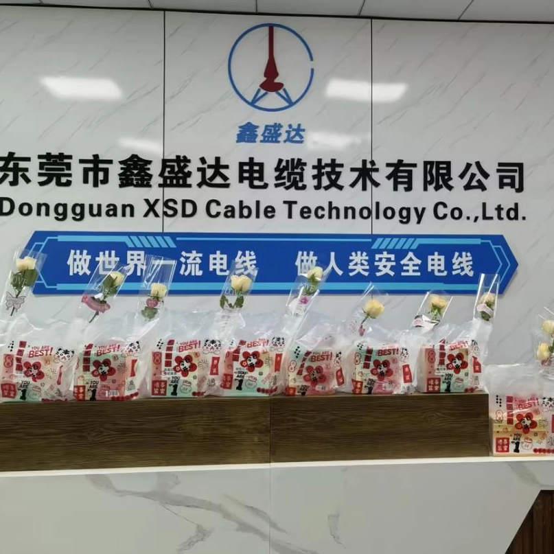 Ipinagdiriwang ang aming mga Babae sa Workforce: International Women Day sa XSD Cable